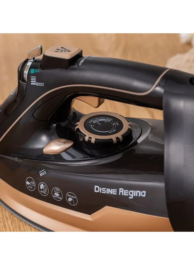 Disine Regina - SteamIron steam ironers with hand-held ceramic plates to increase ironing - Image 1