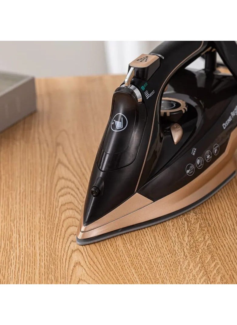 Disine Regina - SteamIron steam ironers with hand-held ceramic plates to increase ironing - Image 1