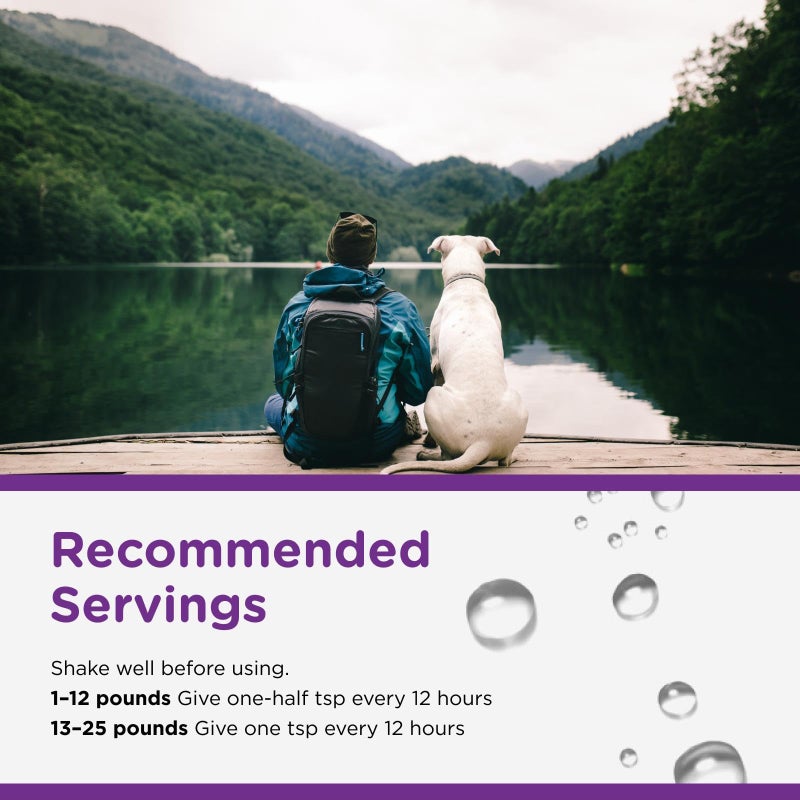 nutri vet Nutri-Vet Anti-Diarrhea Liquid for Dogs and Puppies, Puppy Supplements for Digestive Health, Dog Essentials for Gut Support, Pet Vitamins, Probiotic Alternative, Puppy Supplies, Made in USA, 4oz - Image 4