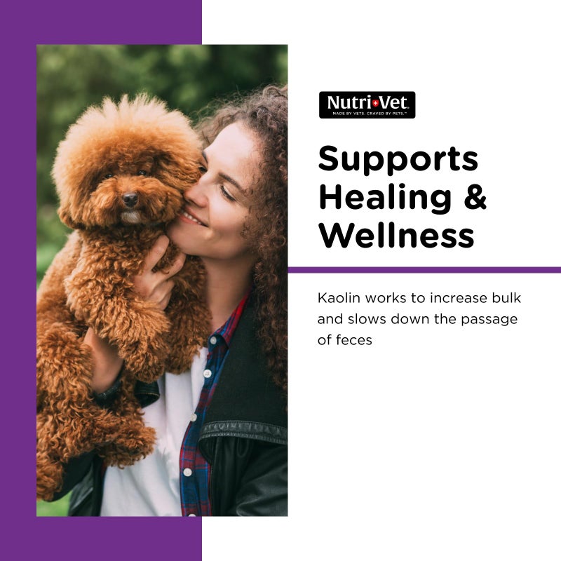 nutri vet Nutri-Vet Anti-Diarrhea Liquid for Dogs and Puppies, Puppy Supplements for Digestive Health, Dog Essentials for Gut Support, Pet Vitamins, Probiotic Alternative, Puppy Supplies, Made in USA, 4oz - Image 2