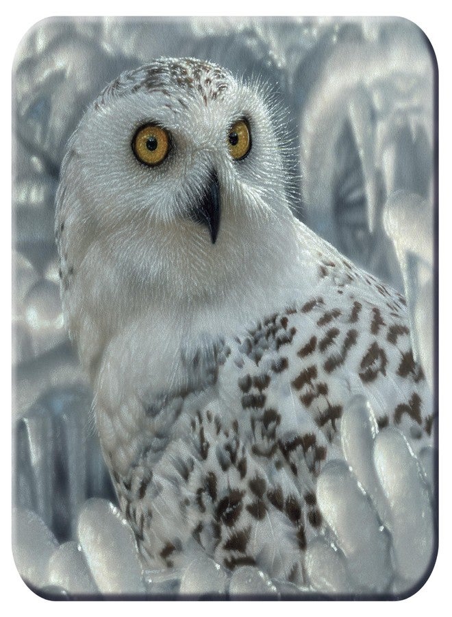 3D LiveLife Cork Coaster - Snowy Owl from Deluxebase. Drinks Coaster with Lenticular 3D Animal Image. Non-Slip Protective Table Drink Mat for Home Decor and Decorative Accessories. - Image 1