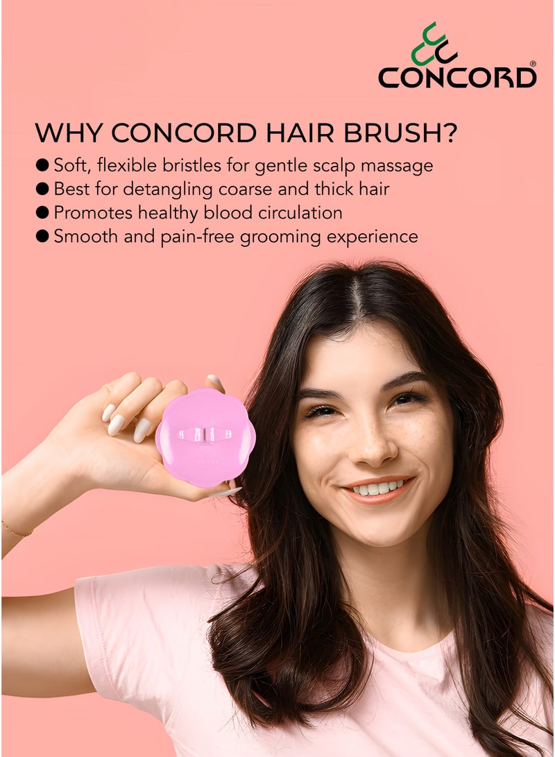 CONCORD - Korea Round Hair Brush, Scalp Massage and Hair Care Brush for Daily Use, Smooth and Flexible, Made in KOREA, LIMITED TIME OFFER - Pack of 2 (1 color as shown + 1 with Random color) - Image 4