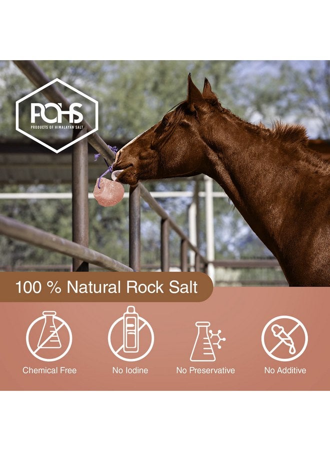 POHS Himalayan Rock Salt Lick 6 lbs Pack of 2 with Rope for Horse, Geal, Shelter, Cow, Goat, Mower Animals - Original Himalayan Rock Salt Block - Image 2