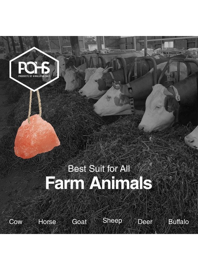 POHS Himalayan Rock Salt Lick 6 lbs Pack of 2 with Rope for Horse, Geal, Shelter, Cow, Goat, Mower Animals - Original Himalayan Rock Salt Block - Image 5