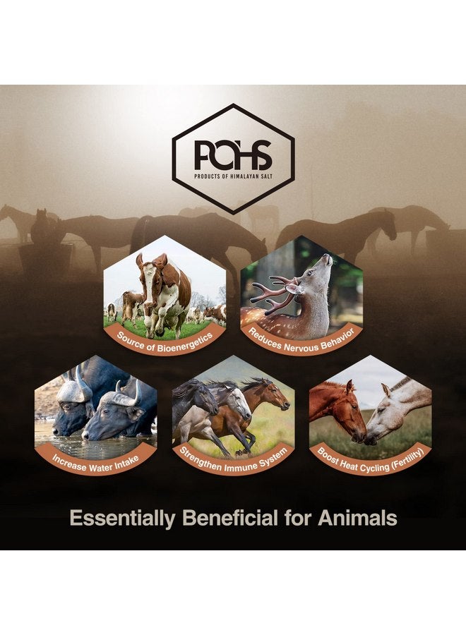 POHS Himalayan Rock Salt Lick 6 lbs Pack of 2 with Rope for Horse, Geal, Shelter, Cow, Goat, Mower Animals - Original Himalayan Rock Salt Block - Image 4