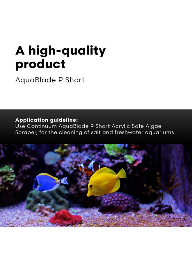 كونتينوم أكواتيكس Continuum Aquatics Continuum AquaBlade P - مكشطة طحالب قصيرة لأحواض الأسماك، مكشطة أكريليك آمنة - أدوات تنظيف أحواض السمك - Image 5