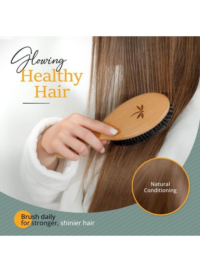 Belula 100% Boar Bristle Hair Brush Set (Medium). Soft Natural Bristles for Thin and Fine Hair. Restore Shine And Texture. Wooden Comb, Travel Bag and Spa Headband Included! - Image 5