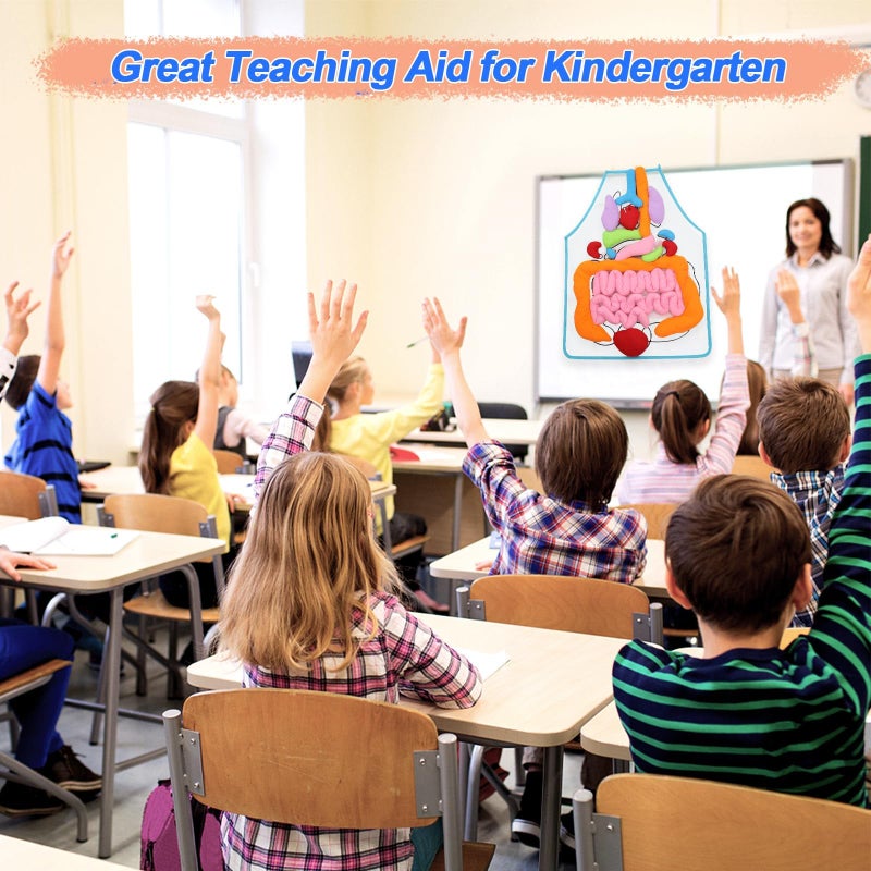 Zikra 3D Organ Apron, Anatomy and Physiology Human Body Model for Kids, Montessori Educational Toys for Homeschool Preschool Science Kits for kids over 3+ - Image 3