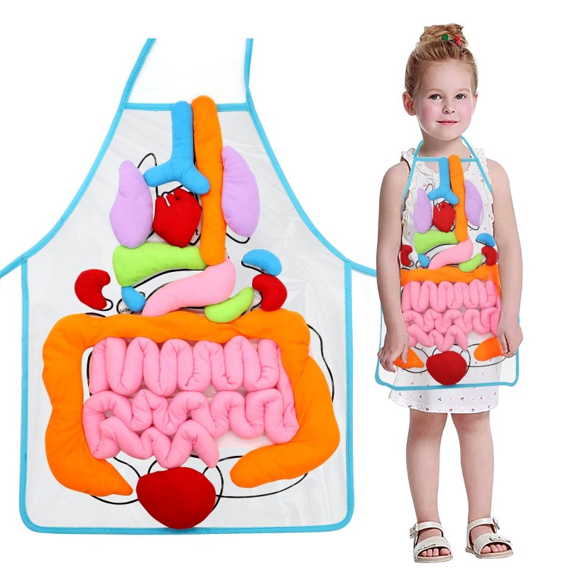 Zikra 3D Organ Apron, Anatomy and Physiology Human Body Model for Kids, Montessori Educational Toys for Homeschool Preschool Science Kits for kids over 3+ - Image 1