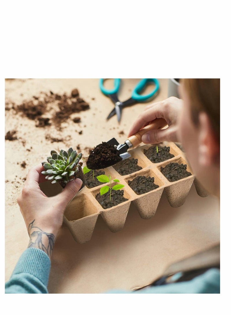 Y&D 12 Pack Biodegradable Seedling Starter Trays Home Peat Pots with 20 Pcs Plant Labels Eco Friendly Germination for Vegetable Fruit Gardens and Greenhouses 1 pair of seedlings  - Image 2