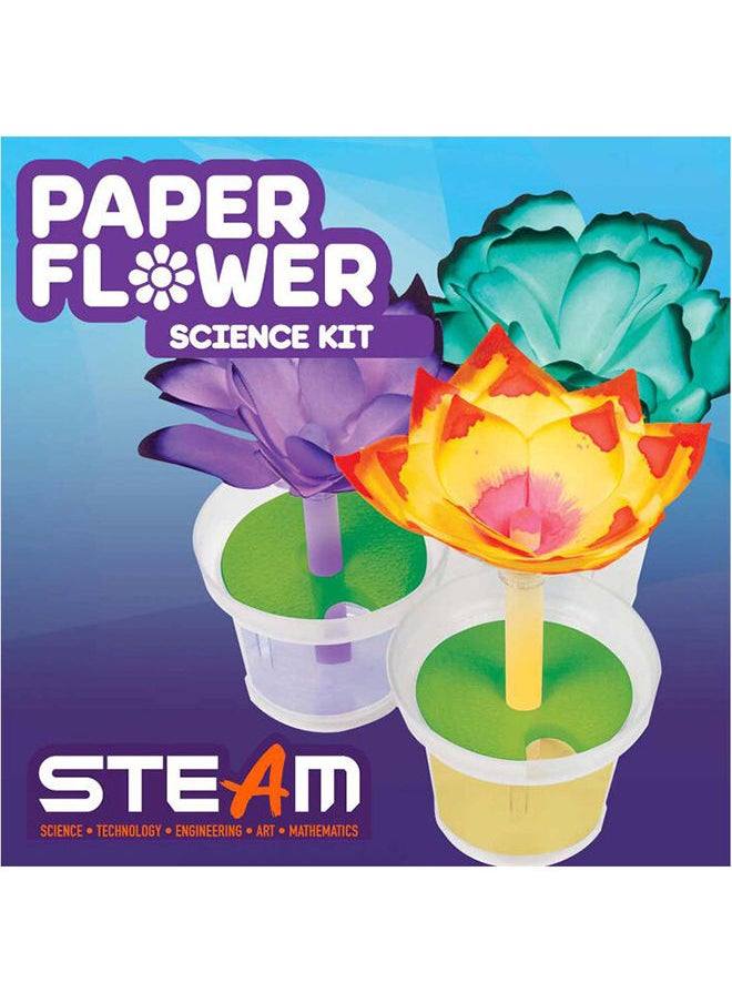 Paper Flower Science Kit - pzsku/Z412DC60C3AA80DCE9BC1Z/45/_/1691736762/612da6ea-ff26-403f-b9c7-f8bbff4e88b2