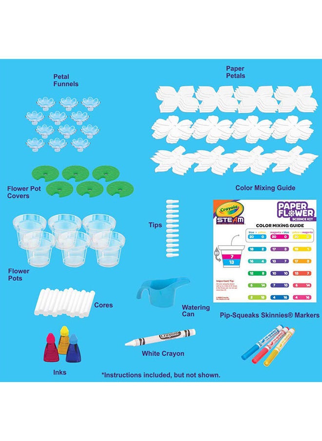 Paper Flower Science Kit - pzsku/Z412DC60C3AA80DCE9BC1Z/45/_/1691736764/9ef60c3c-0fec-4af1-8e76-d32ab8709c10