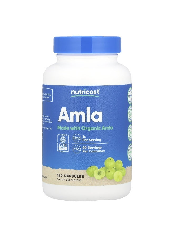 Nutricost, Amla, 1 g, 120  Capsules (0.5 g per Capsule) - Image 1