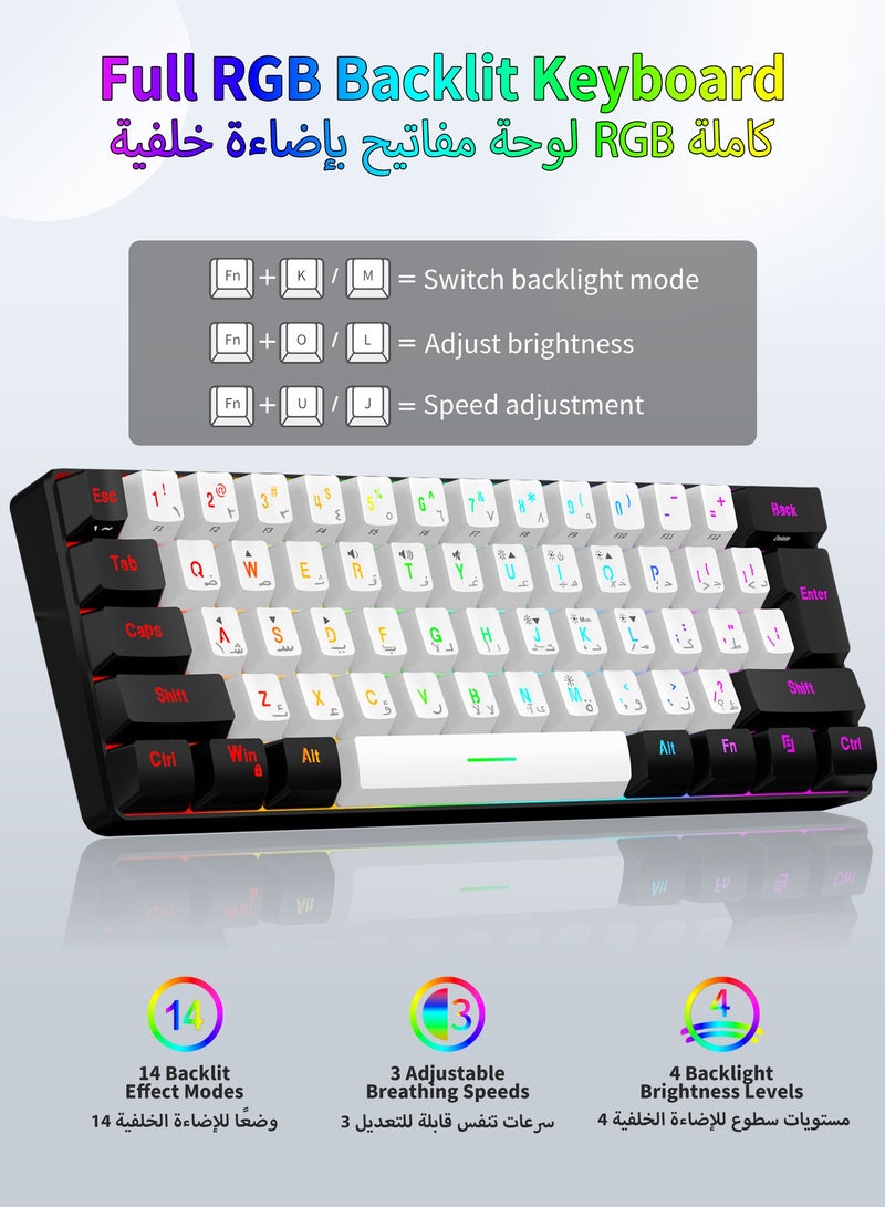 HUO JI 60% Arabic-English Wired Gaming Keyboard, Small RGB Backlit Membrane Gaming Keyboard, Ultra-Compact Mini Waterproof Keyboard for PC Computer Gamer White and Black  - Image 3