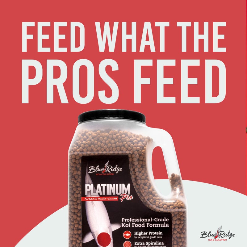Blue Ridge Koi Fish Food 4.5lb - Koi Food 3/16” Platinum Pro Formula Goldfish Food, Premium Fish Food for Ponds, Ponds Fish Food, Floating Pond Pellet - Image 3