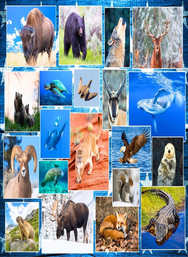 Better Me Wildlife of Our National Parks 500-Piece Puzzle - USA National Parks Jigsaw Puzzle, Animals from Acadia, Yellowstone, Zion, Arches, Crater Lake, Mount Rainier, Great National Park Gift (500 Pieces) - Image 1
