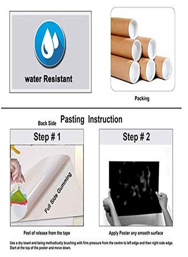 DECOR PRODUCTION DÉCOR PRODUCTION Sparkle Laminated Wall Stickers - Multicolor | Self-Adhesive PVC Vinyl Wall Poster Sticker for Living Room, Hall, Play Room, Bedroom, Kitchen and Office Décor - 24 x 36 Inches - Image 5
