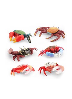 Excefore 6 PCS Realistic Crab Figurine, Plastic Marine Animal Crab Figure, Simulated Crab Model for Party Favors Supplies, Cake Toppers Decoration  - Image 4