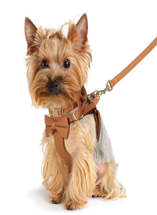 Beirui Adorable Small Dog Harness Collar and Leash Set,Cute XXS Puppy Harness Set with 3 Bows for Tiny Dogs,Chihuahua,Adjustable Step-in Vest for Daily Walking,Parties&Holiday Outfits(Brown,XXS) - Image 4