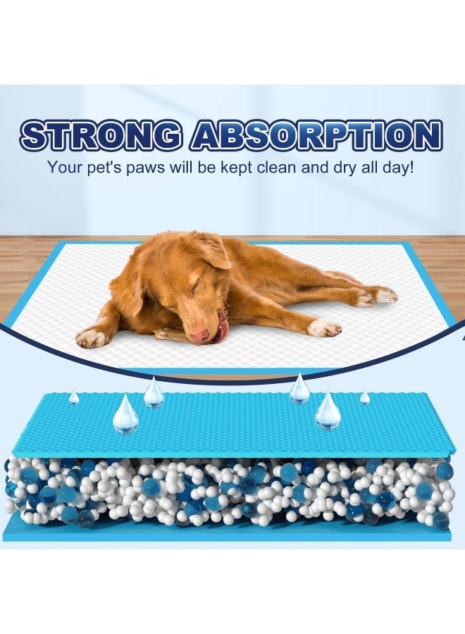 WP Pet Training Pads for Dogs and Puppies – Super Absorbent, Leak-Proof & Quick Dry – Disposable Puppy Pads for Puppies, Cats, Rabbits – XL 60×90cm, 20 Sheets - Image 5