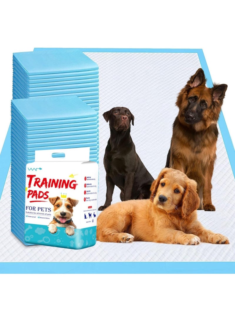 WP Pet Training Pads for Dogs and Puppies – Super Absorbent, Leak-Proof & Quick Dry – Disposable Puppy Pads for Puppies, Cats, Rabbits – XL 60×90cm, 20 Sheets - Image 1