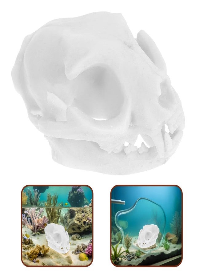 WINOMO Cat Skull Skeleton Halloween Animal Scary Skeleton Props Model Figurine Aquarium Fish Tank Landscape Decorations - Image 3