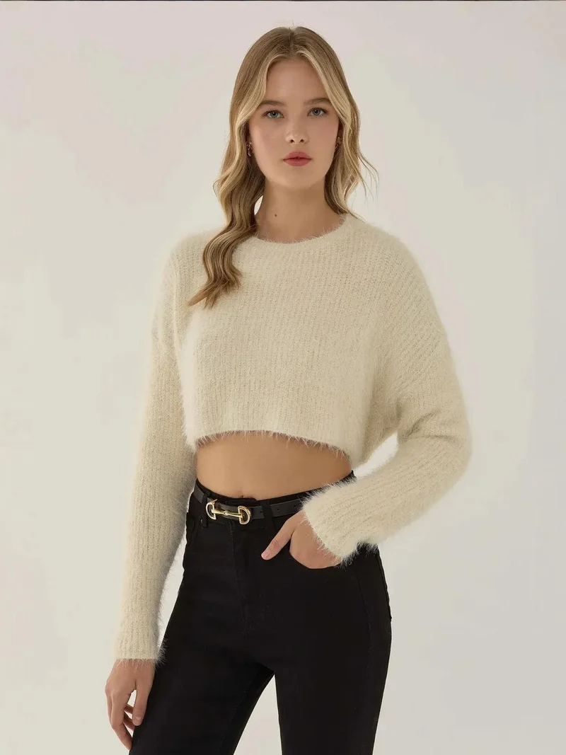 Textured Crop Sweater with Crew Neck