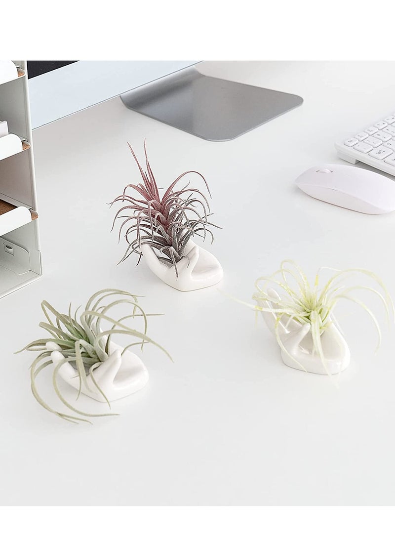 Excefore Air Plant Holder Creative Ceramic, 3 Pack Egg Cup Holder, Hand Shape Stand, Office Desk Base Airplant Display Container Pot, Ocarina Support for Table Shelf, Kitchen (White) - Image 4