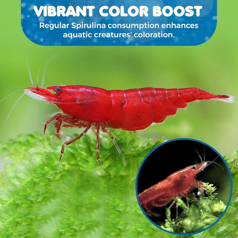 SunGrow Juvenile Shrimp Food, Essential for Shrimp And Feeders from Bottom - Image 5