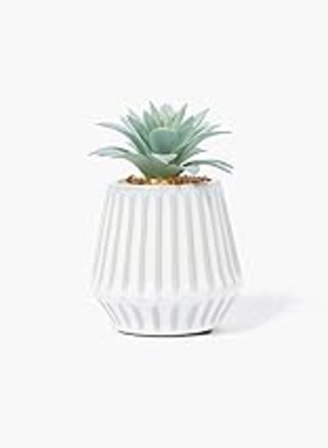 Matalan Succulent In Ribbed Pot, 12 cm x 9 cm x 10 cm Size, Cream/Green