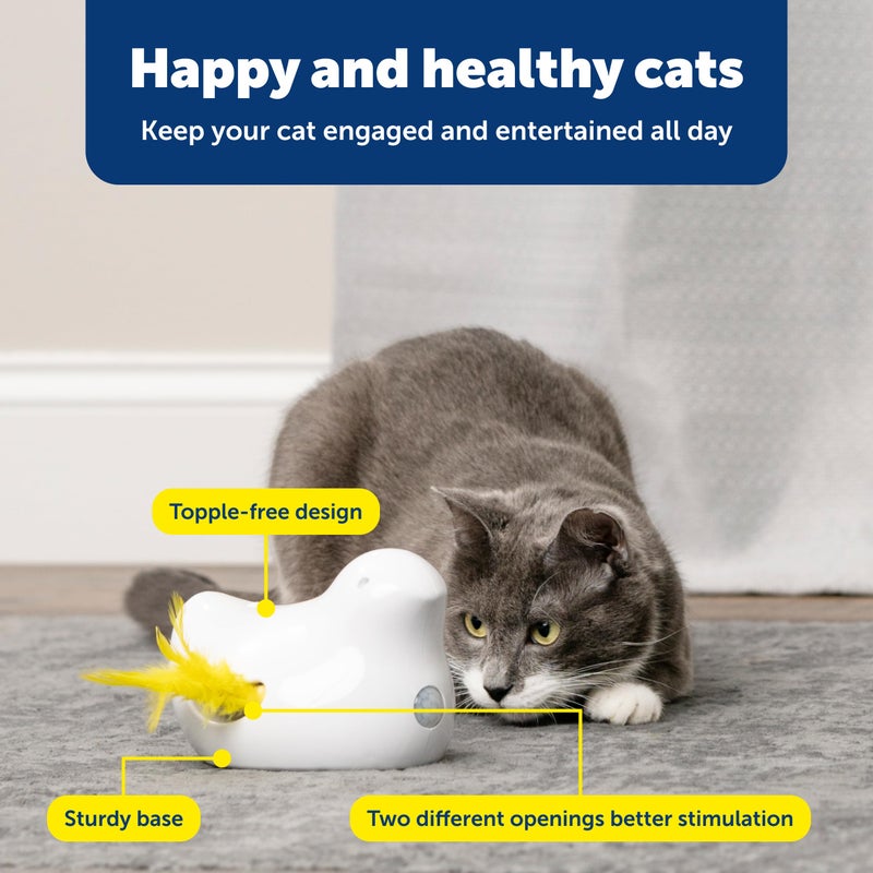 PetSafe Electronic Cat Toys â€“ Automatic Cheese and Peek-A-Bird â€“ Hide and Seek Teaser Toy â€“ Interactive Bird and Mouse Hunt â€“ Play While You are Away - Image 4