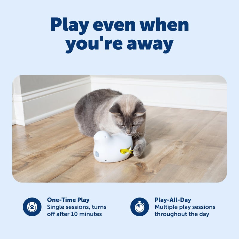 PetSafe Electronic Cat Toys â€“ Automatic Cheese and Peek-A-Bird â€“ Hide and Seek Teaser Toy â€“ Interactive Bird and Mouse Hunt â€“ Play While You are Away - Image 3