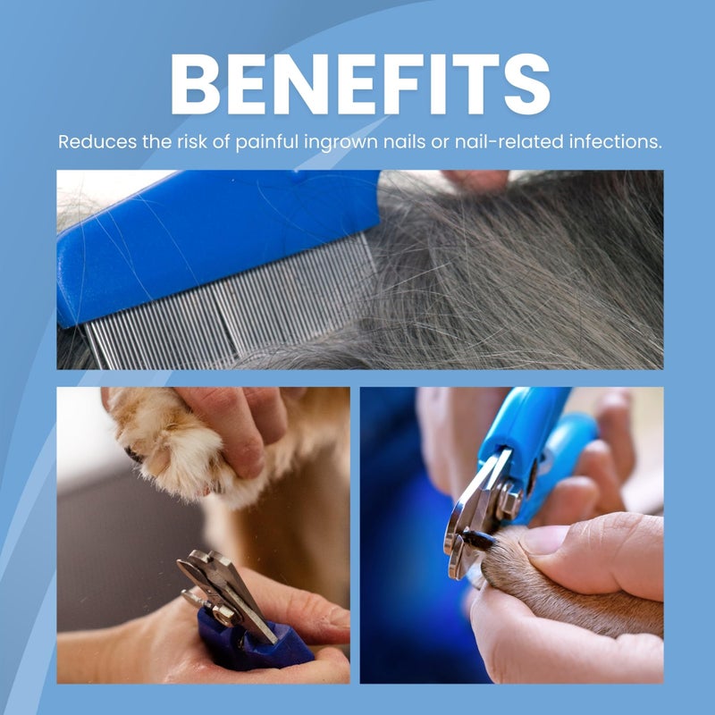 Buraq Pets Professional 2-in-1 Dog Nail Cutter & Flea Comb Set, Nail Trimmer with Filer for Small, Medium & Large Dogs, Puppies, Cats & Kittens, Claw Grooming Tool for Safe & Easy Grooming - Image 5
