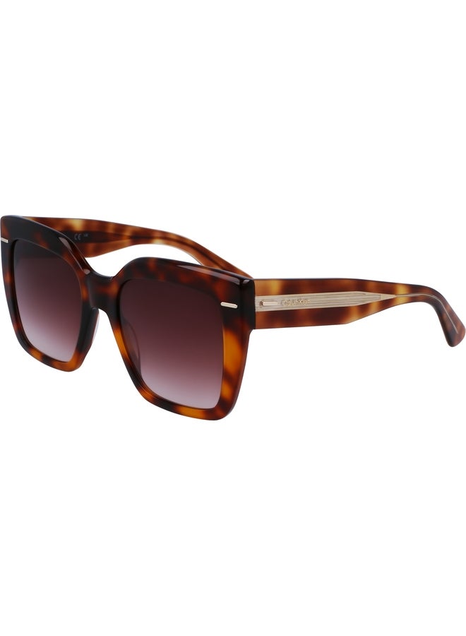 CALVIN KLEIN FULL RIM ACETATE MODIFIED RECTANGLE CALVIN KLEIN SUN CK23508S N 5420 (220) BROWN HAVANA - Image 2