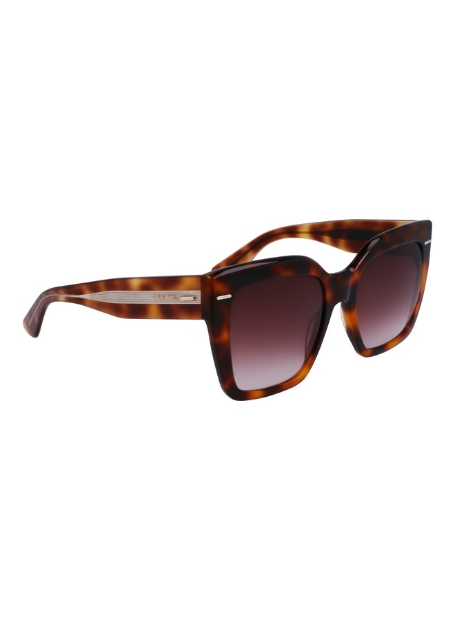 CALVIN KLEIN FULL RIM ACETATE MODIFIED RECTANGLE CALVIN KLEIN SUN CK23508S N 5420 (220) BROWN HAVANA - Image 1