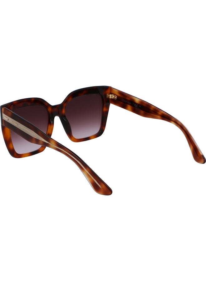 CALVIN KLEIN FULL RIM ACETATE MODIFIED RECTANGLE CALVIN KLEIN SUN CK23508S N 5420 (220) BROWN HAVANA - Image 3