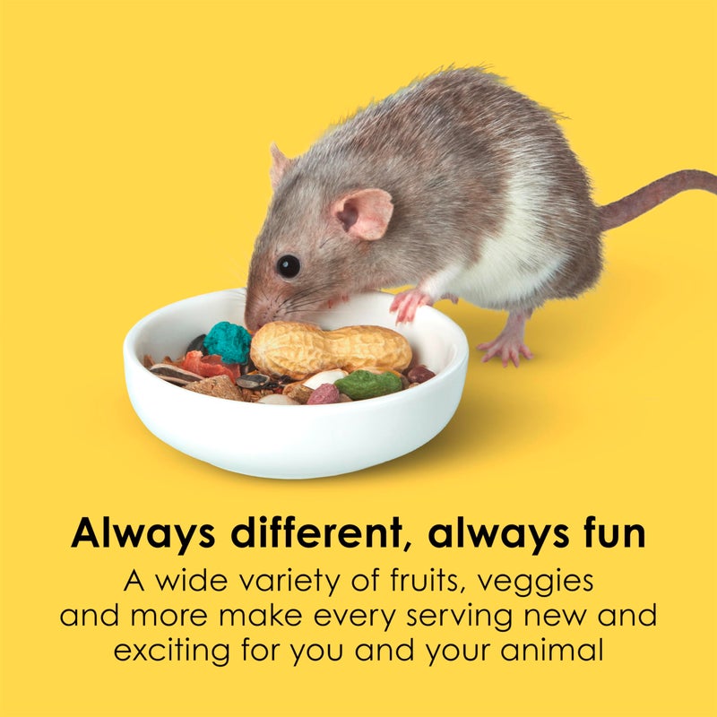 Kaytee Fiesta Mouse & Rat Food, Nutritious and Fun Blend, Supports Dental Health and Digestion, 4.5 pounds - Image 3