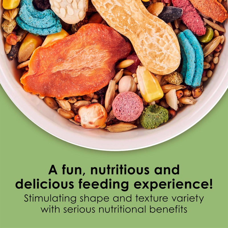 Kaytee Fiesta Mouse & Rat Food, Nutritious and Fun Blend, Supports Dental Health and Digestion, 4.5 pounds - Image 2