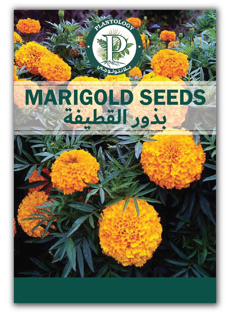 Generic Marigold flower Seeds - Premium Quality Seeds - Flower Seeds for Planting - Image 1