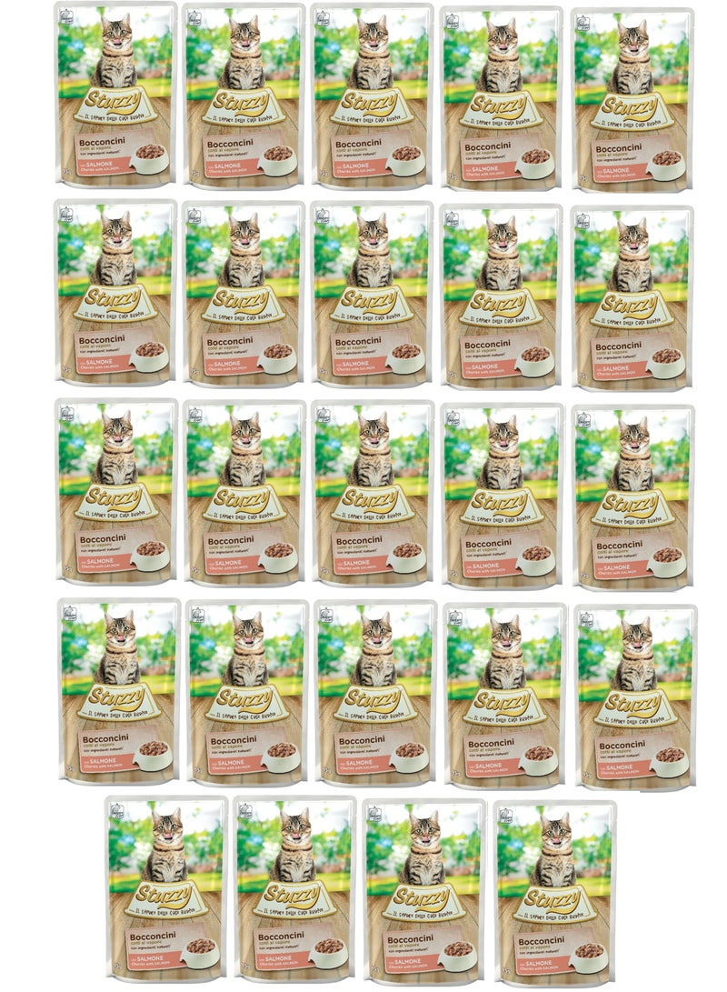 Pack of 24pcs Cat Chunks with Salmon 24x85g