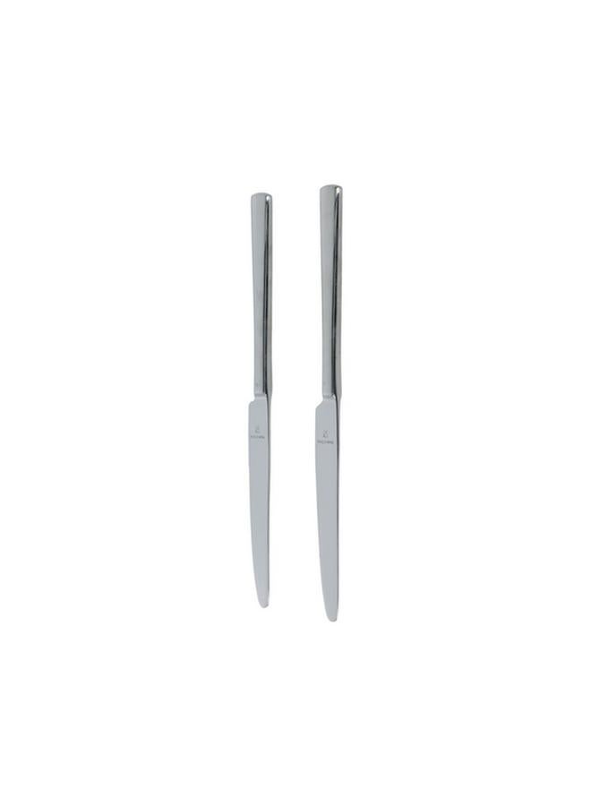 Amefa 2-Piece Stainless Steel Table Knife Set  - Image 1