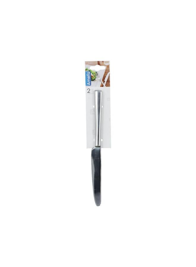 Amefa 2-Piece Stainless Steel Table Knife Set  - Image 2