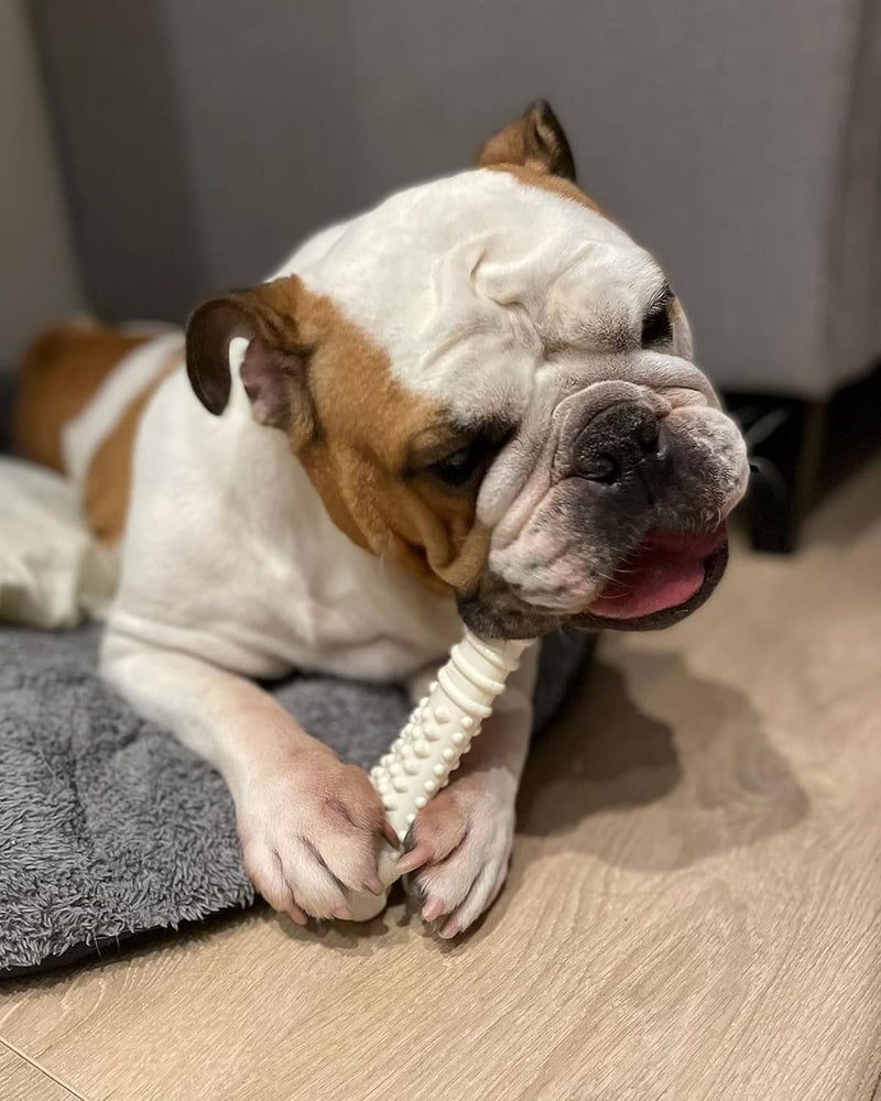 Nylabone Dura Chew Souper Chicken Flavored Bone Dog Chew Toy for Large Dogs - Image 2