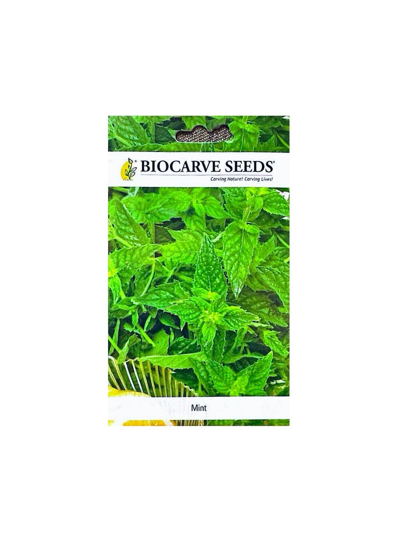 BIOCARVE SEEDS Mint Seeds