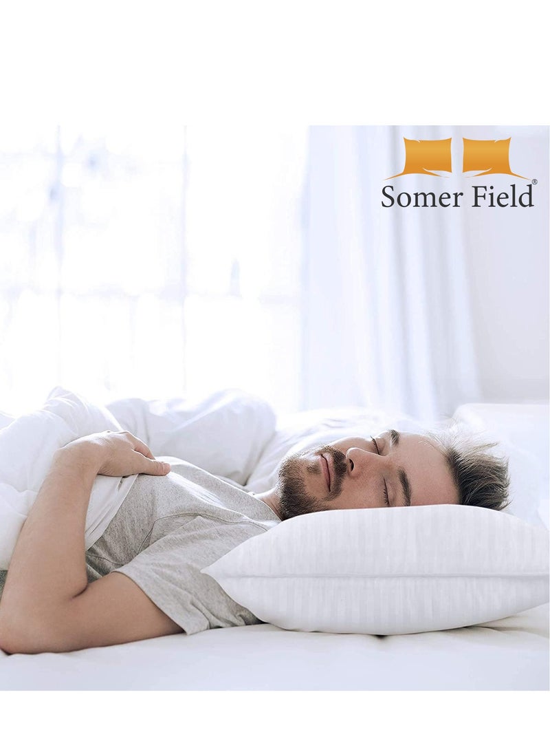 Somerfield - Somer Field Comfortable Fiber Filled Pillows – Pack of 2 – Standard Size 50x75 cm - Image 1
