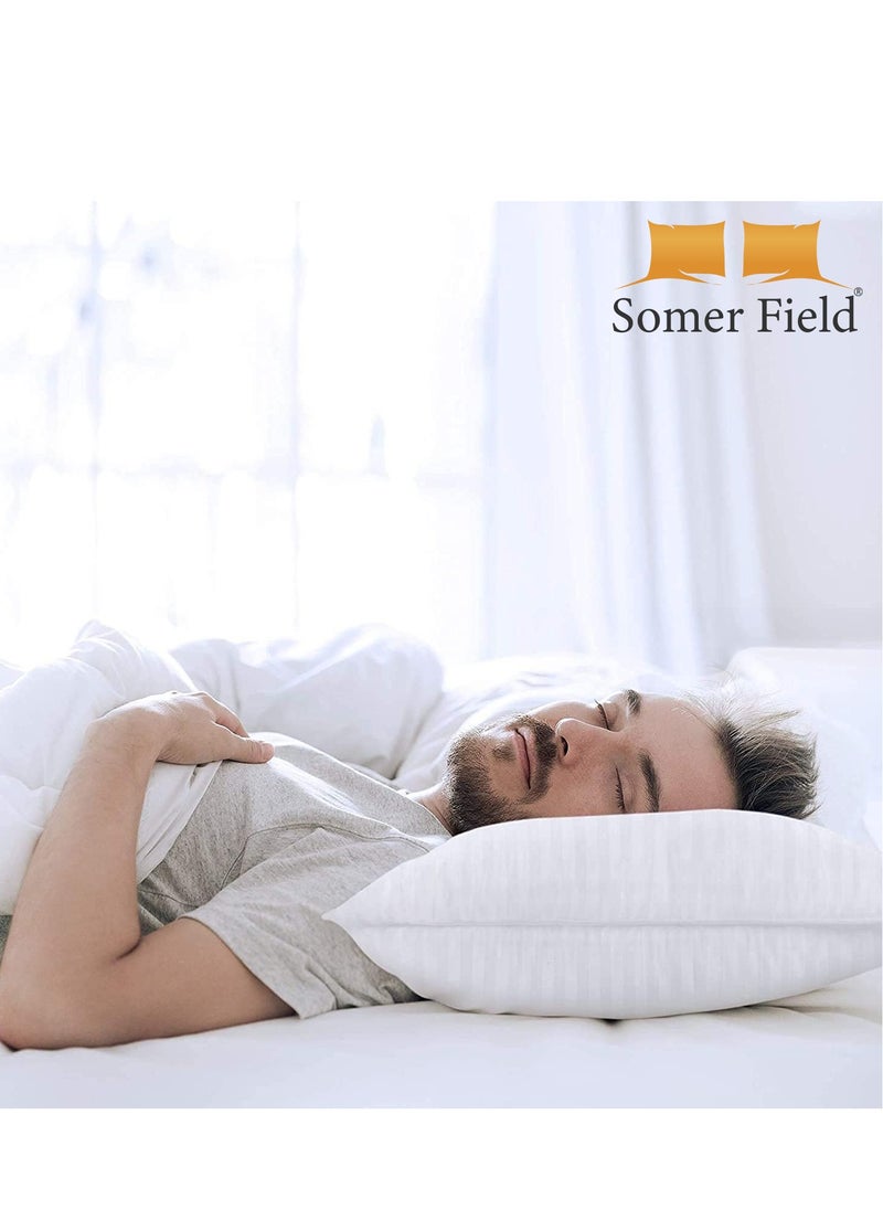 Somer Field - Comfortable Fiber Filled Pillow - 2Pcs Set - 50x75cm - SPECIAL BUNDLE OFFER PACK - pzsku/Z4143C8918D46159E86EAZ/45/_/1731180536/0dea5897-c99f-4716-a3e5-7a5bd539ef9d