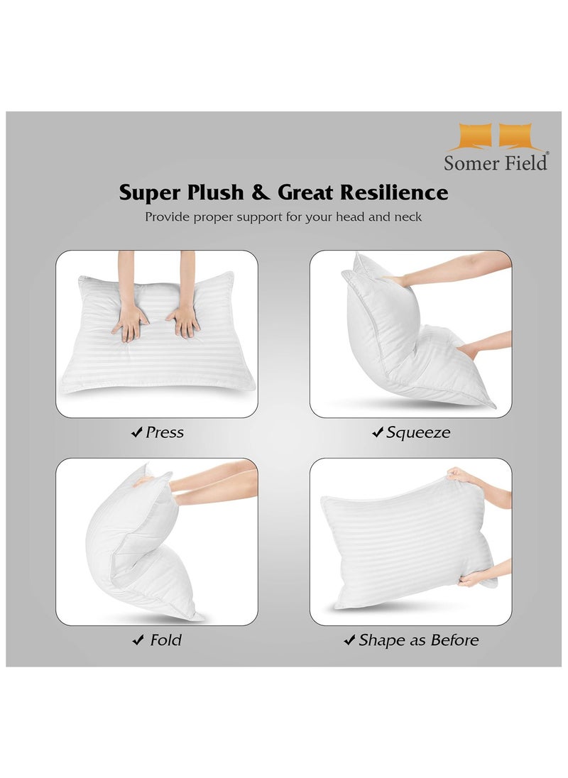 Somer Field - Comfortable Fiber Filled Pillow - 2Pcs Set - 50x75cm - SPECIAL BUNDLE OFFER PACK - pzsku/Z4143C8918D46159E86EAZ/45/_/1731180537/72870662-bdb1-4b88-aa9f-defa18336732