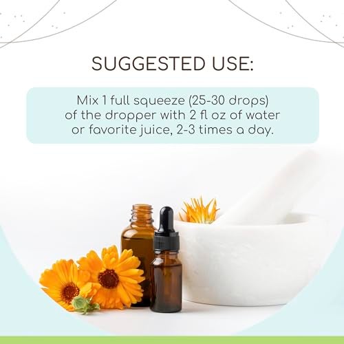 HerbEra Rhodiola B120 Alcohol-Free Herbal Extract Tincture, Concentrated Liquid Drops Natural Rhodiola (Rhodiola Rosea) Dried Root (4 fl oz) - Image 2