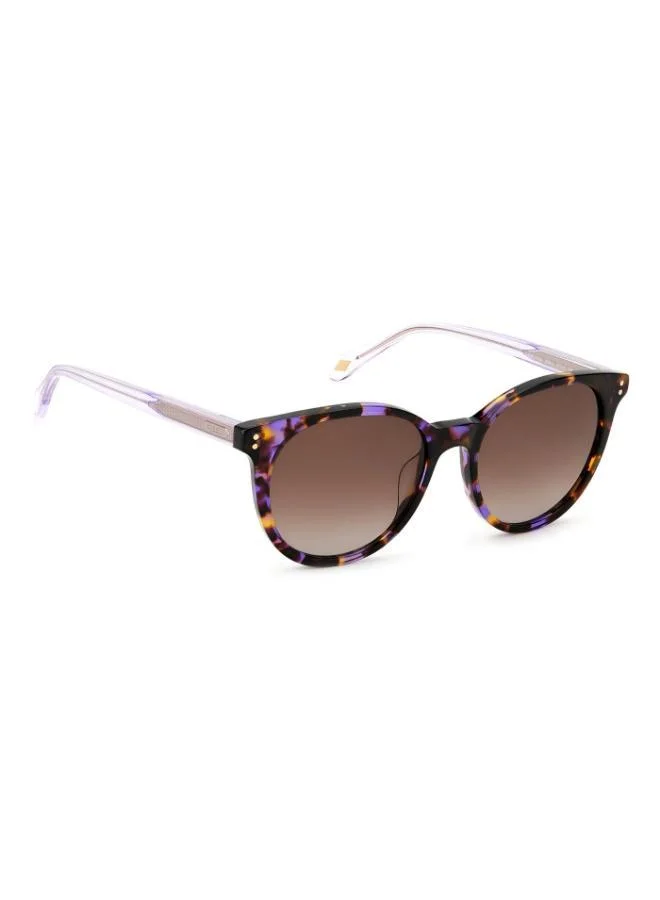 FOSSIL Cat Eye Sunglasses Frames