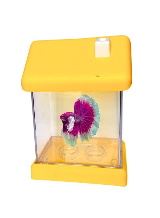 Plastic Fish Tank Aquarium(Multi Color) - Image 1